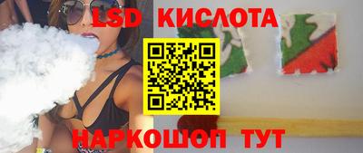 СК Кингисепп