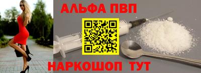 СК Кингисепп