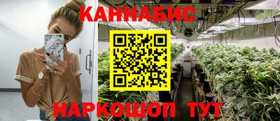 СК Кингисепп