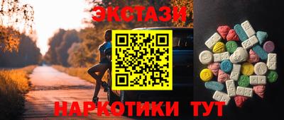 СК Кингисепп