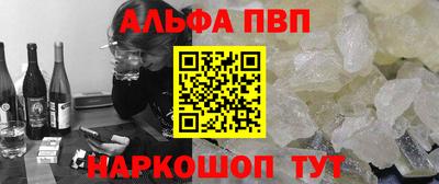 СК Кингисепп