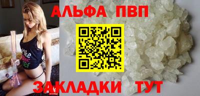 СК Кингисепп