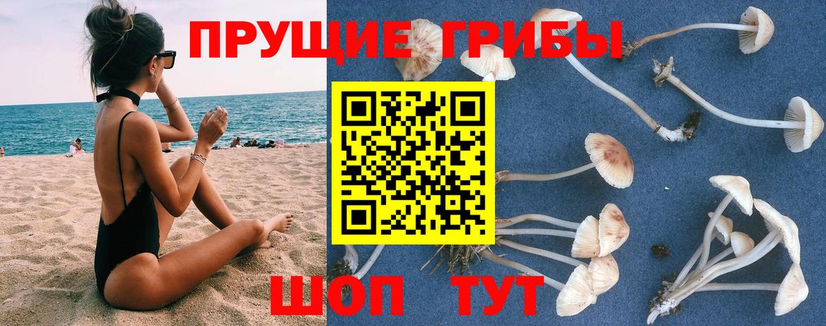 Псилоцибиновые грибы мухоморы  Вход с VPN  Псилоцибиновые грибы прущие грибы  Орехово-Зуево 