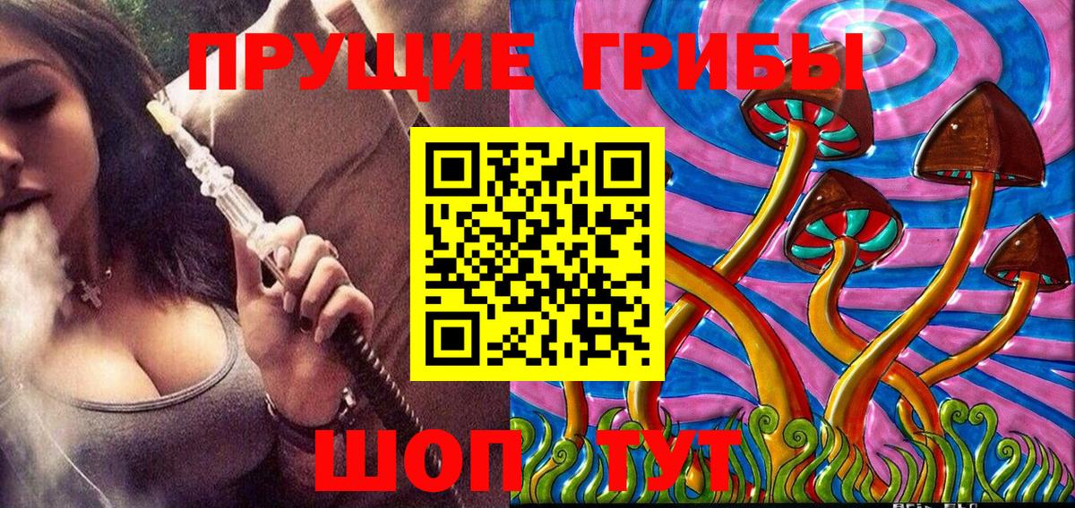 Галлюциногенные грибы GOLDEN TEACHER Орехово-Зуево